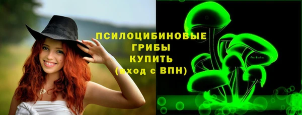 метадон Бородино